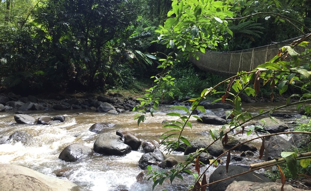 Rando Dlo - Randonnée et baignade à la cascade de l'Alma